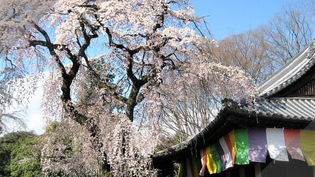 京都