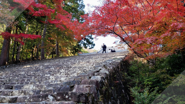 神護寺