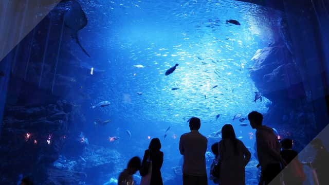 京都水族館