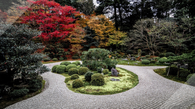 京都