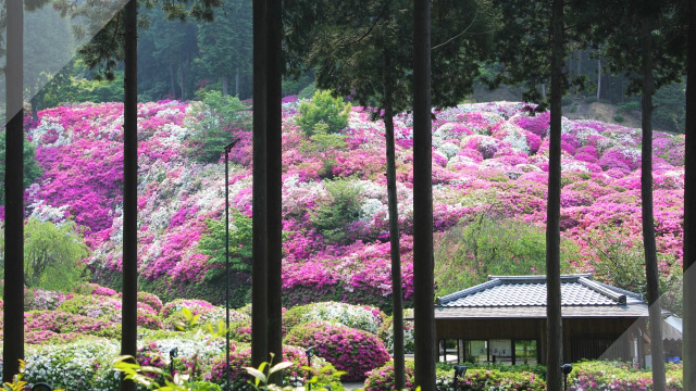 京都