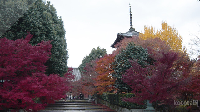 京都